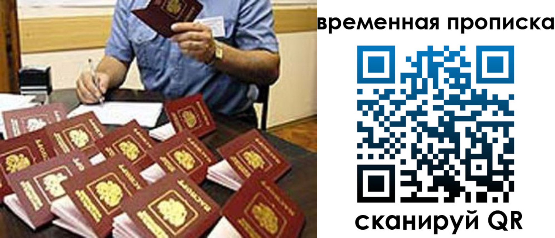 прописка для школы в Борзе